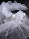 images/5th/04_large.jpg